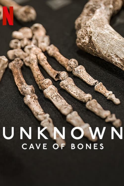 Unknown: Cave of Bones