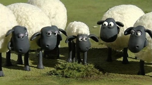 Poster della serie Shaun the Sheep