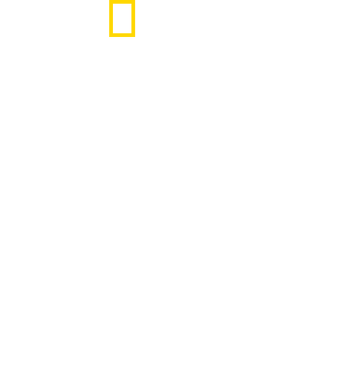 Wild Ways of the Vikings