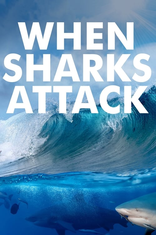 Where to stream When Sharks Attack Season 2