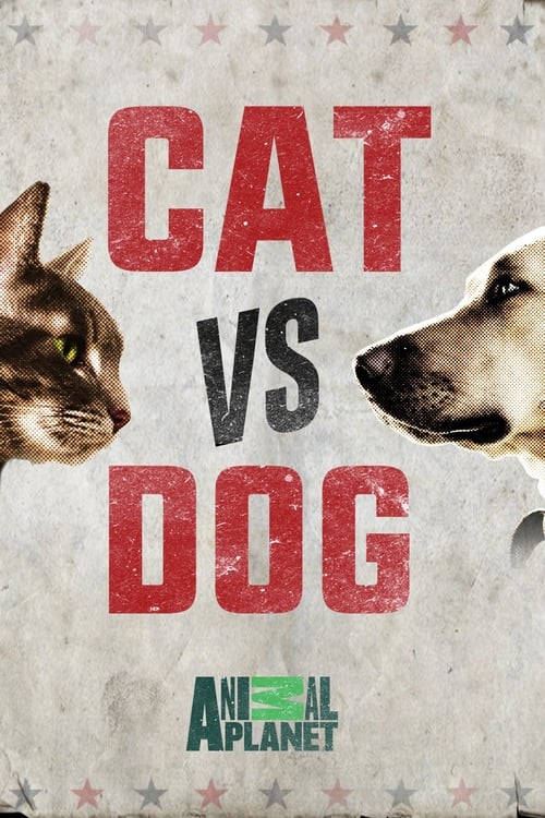 Cat vs. Dog (2017)