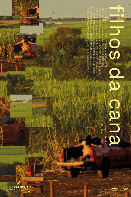 Affiche de Filhos da Cana