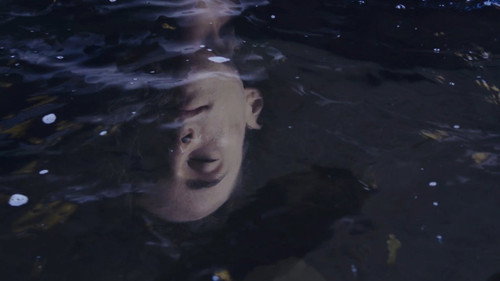 The Voice of My Dream