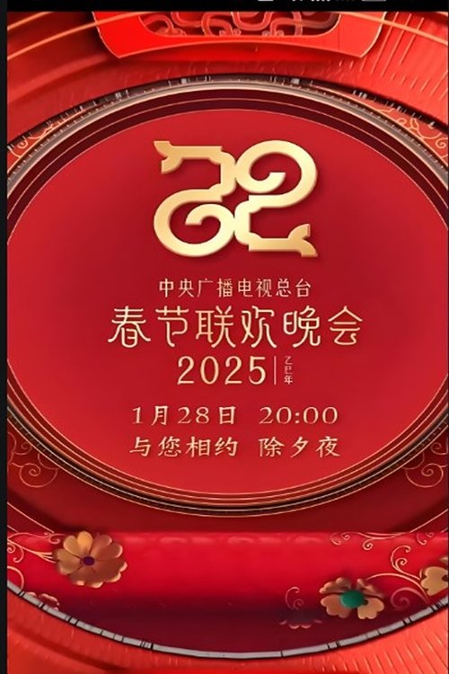 央视春晚 poster