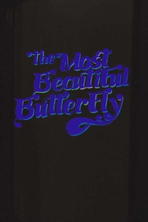 The Most Beautiful Butterfly movie poster player