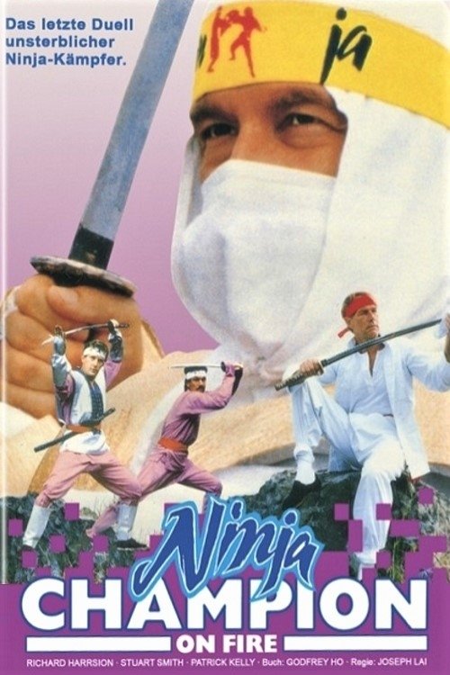 Ninja Avengers poster