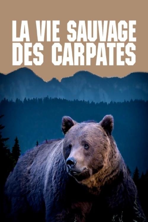 La vie sauvage des Carpates 2020