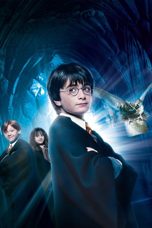 Pòster de Harry Potter - Col·lecció