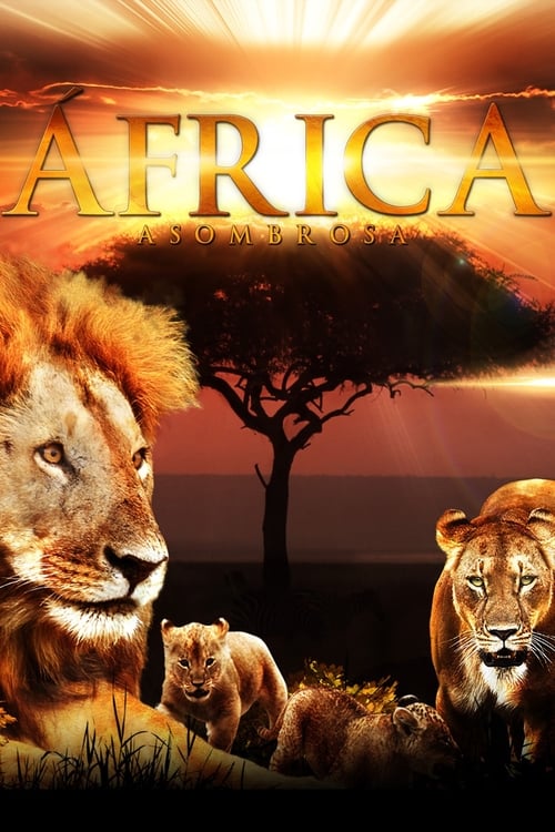 Amazing Africa poster