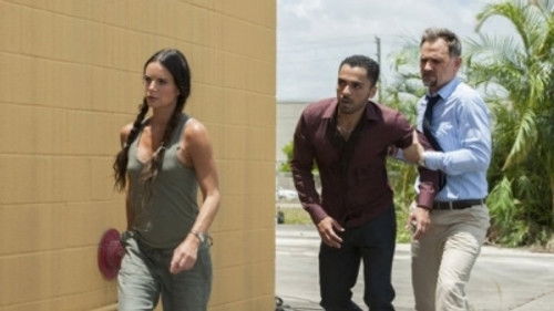 Burn Notice: Operação Miami: 7×9