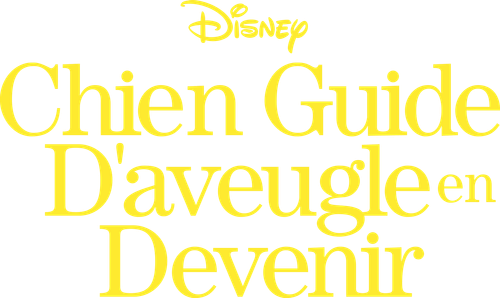 Chien Guide D'aveugle en Devenir