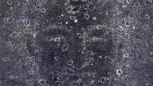 Death Star of Riverdale