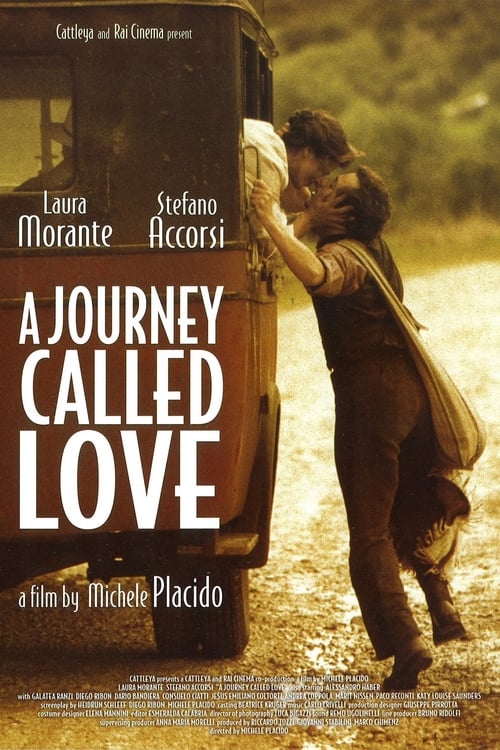 Poster Un viaggio chiamato amore 2002