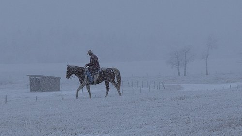 Poster della serie Heartland