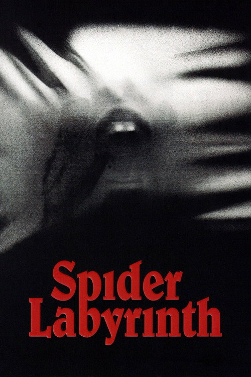 The Spider Labyrinth poster