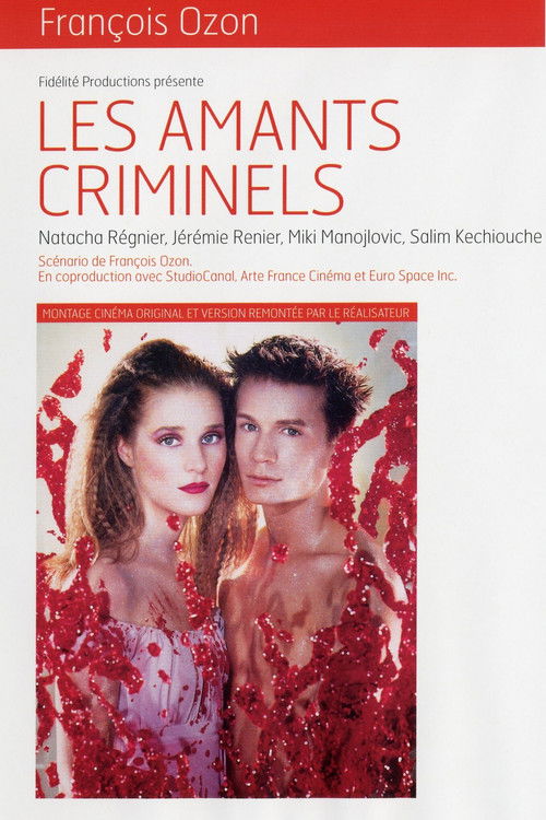 Criminal Lovers poster