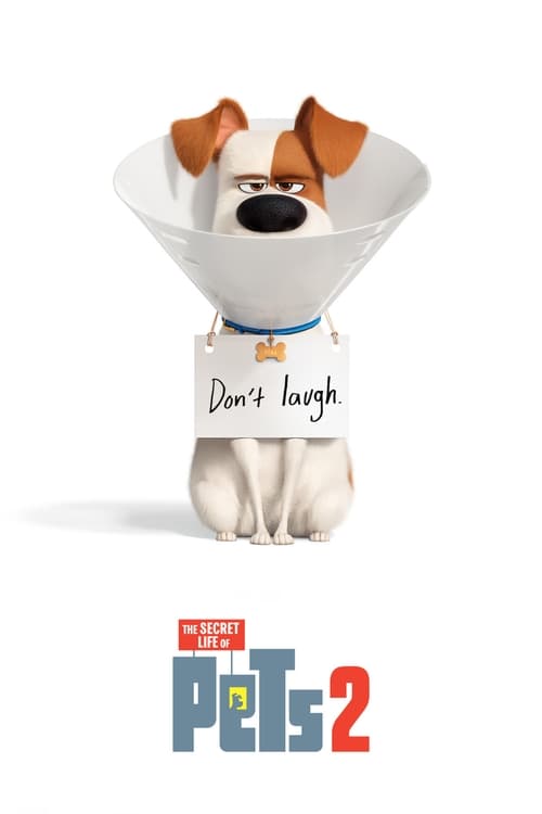 Schauen The Secret Life of Pets 2 On-line Streaming