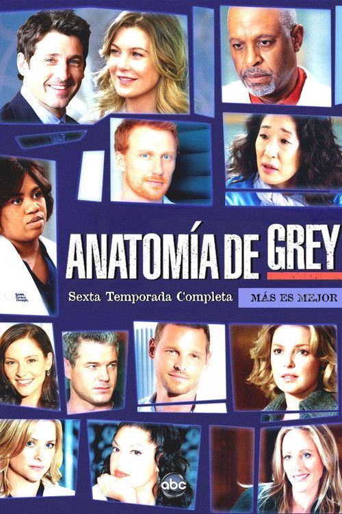 Póster de la temporada 6 de la serie Anatomía de Grey