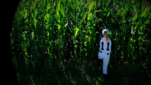 Shutout! The Battle American Women Wage to Play Baseball
