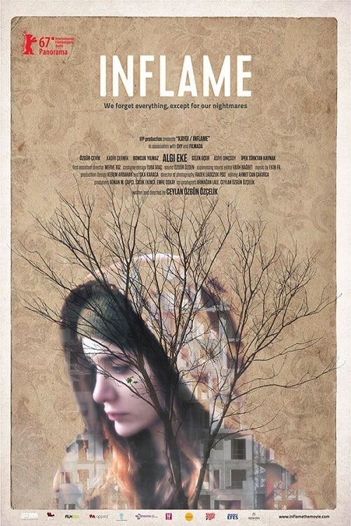 Largescale poster for Inflame