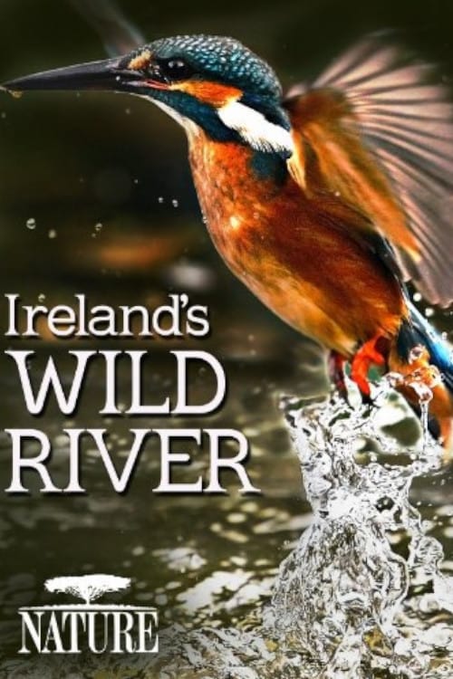 Where to stream On a River in Ireland