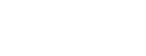 Ninja Asesino