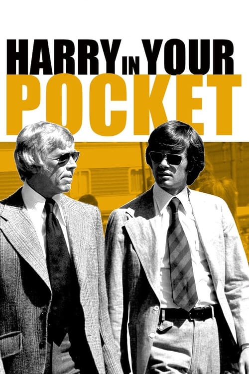 Harry in Your Pocket (1973) poster