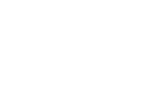 Spirit Untamed