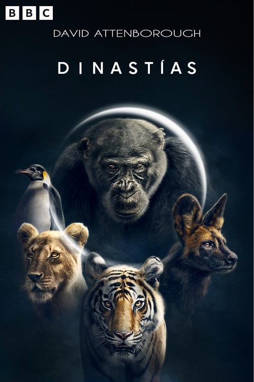 Dinastías poster