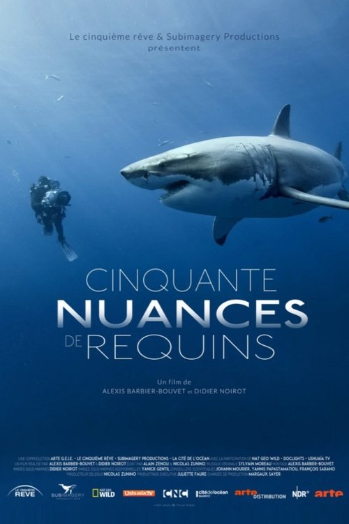 La vida secreta de los tiburones