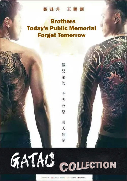 Pòster de Gatao Collection