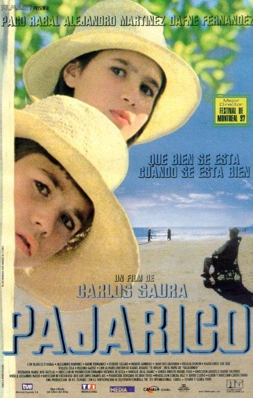 Pajarico Online
