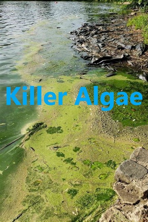 Killer Algae movie poster player