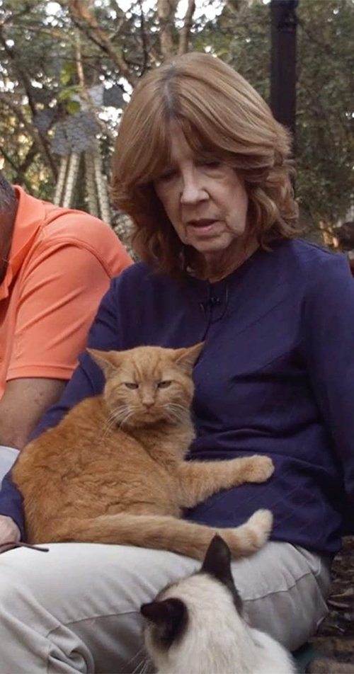 Cats Cradle movie poster player