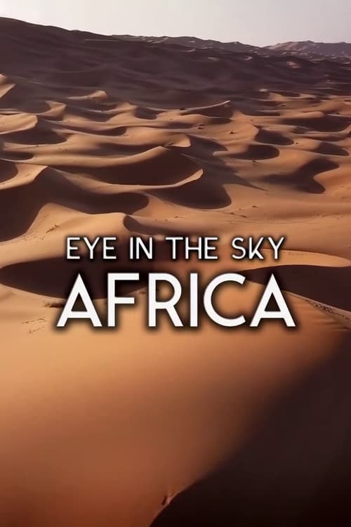 Eye in the Sky - Africa (2020) poster