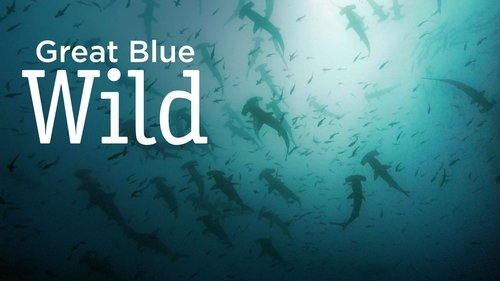 Great Blue Wild