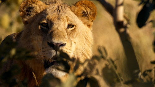 Image de l'épisode Épisode 1