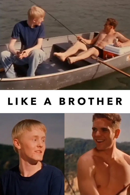 Like a Brother poster