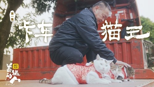 Poster della serie Life with Cats