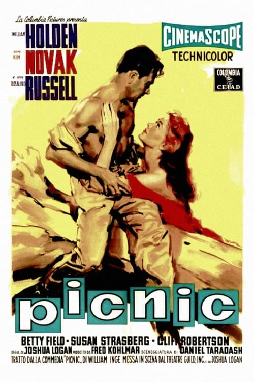 Picnic poster