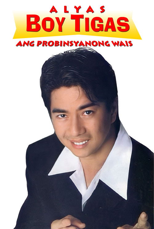 Alyas Boy Tigas: Ang probinsyanong wais (1998) poster