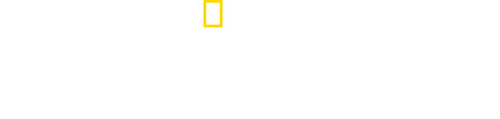 The Long Road Home
