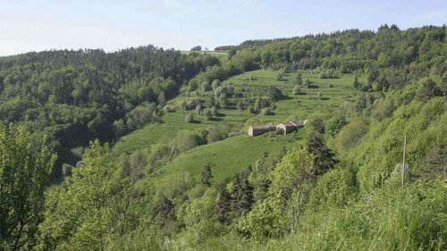 Lucie, après moi le déluge still