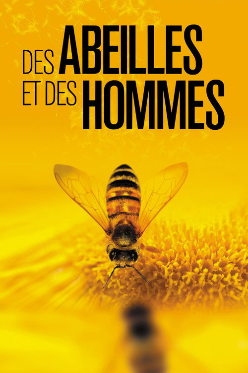 More Than Honey poster