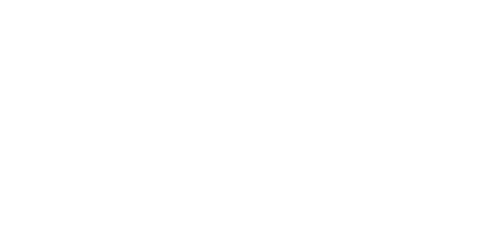 The Wedding Fix