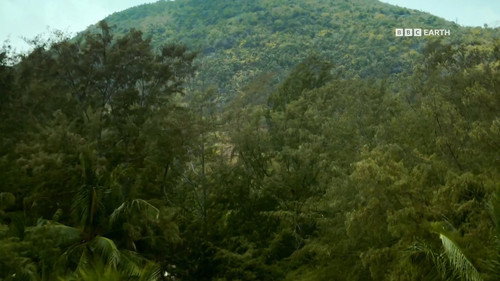 A Forgotten And Rarely Seen Wilderness