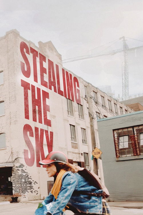 Stealing the Sky poster