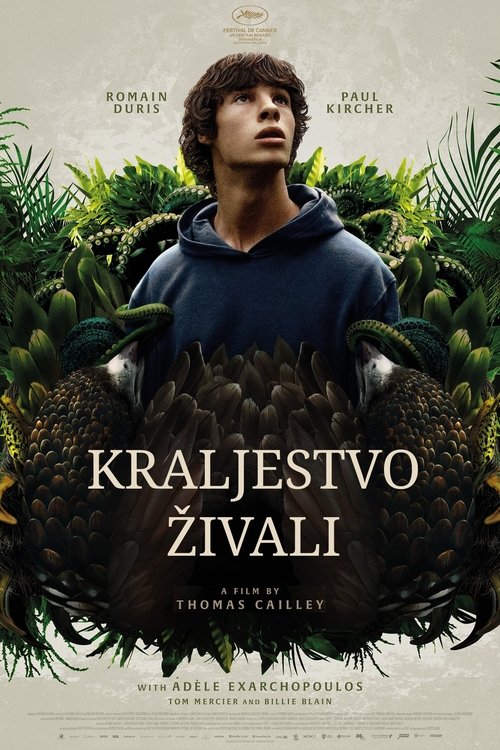 Posters