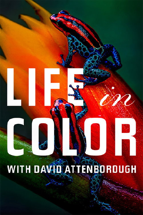 Attenborough's Life in Colour