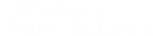 Atraídos Pelo Destino - Logo 2